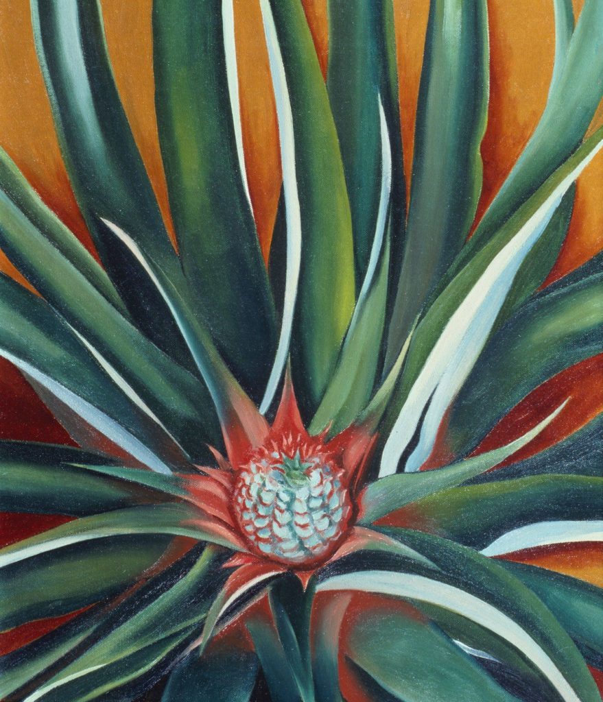 Georgia O'Keeffe, Pineapple Bud (1939). Courtesy of a private collection. Georgia in Hawaii