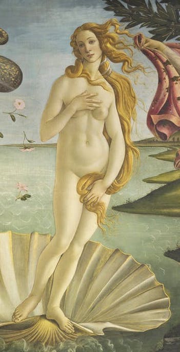 Birth of Venus by Botticelli: fun facts and interesting things to know