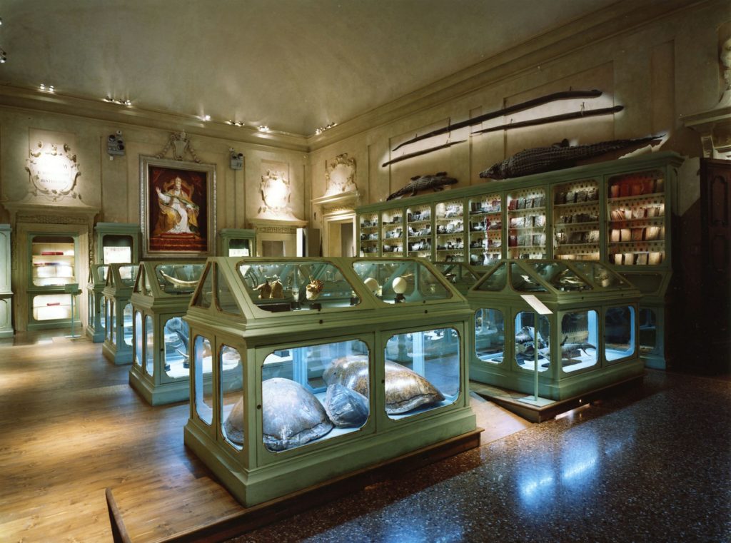 Ulisse Aldrovandi collection, The Museum of Palazzo Poggi, Bologna, Italy.