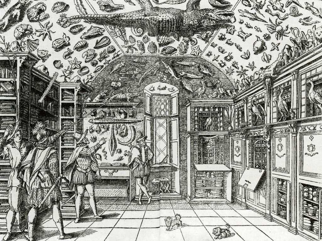 Ferrante Imperato, Room of curiosities. Source: www.wunderkammer.at