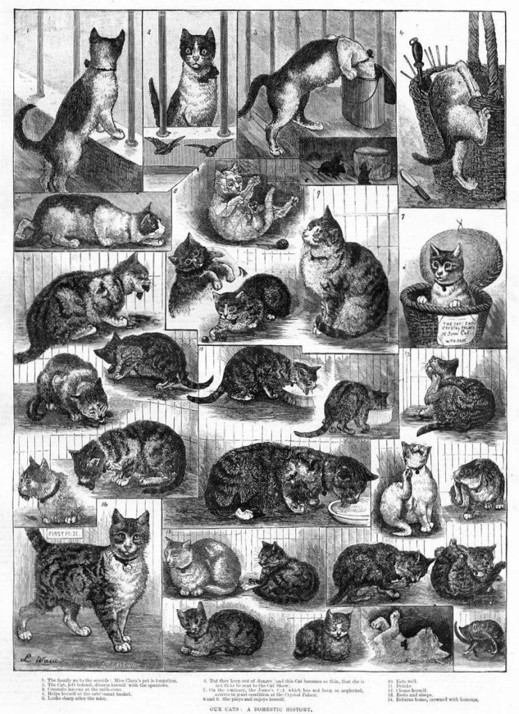 Cat Christmas, 1935, 117×67 cm by Louis Wain: History, Analysis