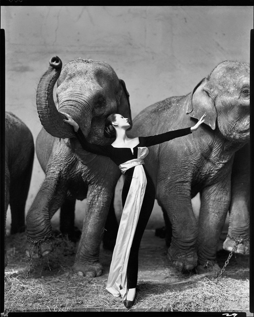 Richard Avedon, Dovima with elephants wearing an evening dress by Dior, Paris, 1955. Fashion Photographers