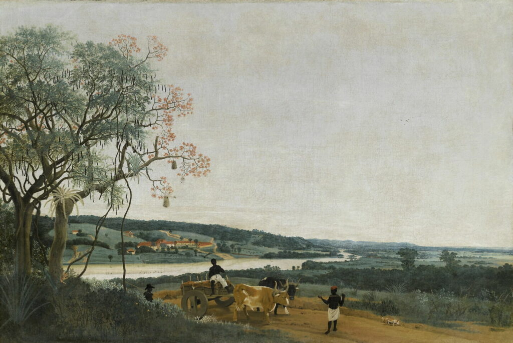 dutch golden age: Frans Post, The Ox Cart, 1638, Louvre, Paris, France.
