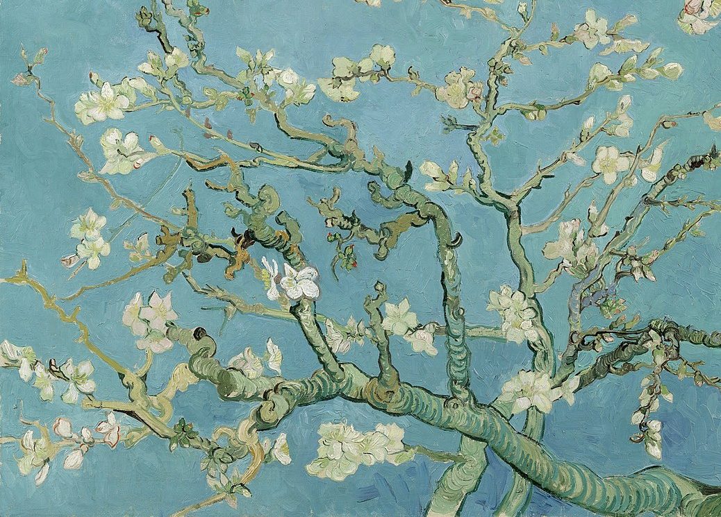 van gogh favorite flower