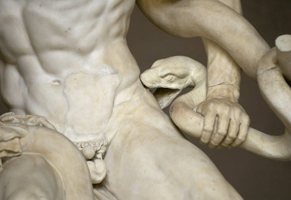 Laocoön: Laocoön and His Sons, Vatican Museums, Vatican City. Detail. Photograph by Sergey Sosnovskiy via Wikimedia Commons (CC BY-SA 2.0).
