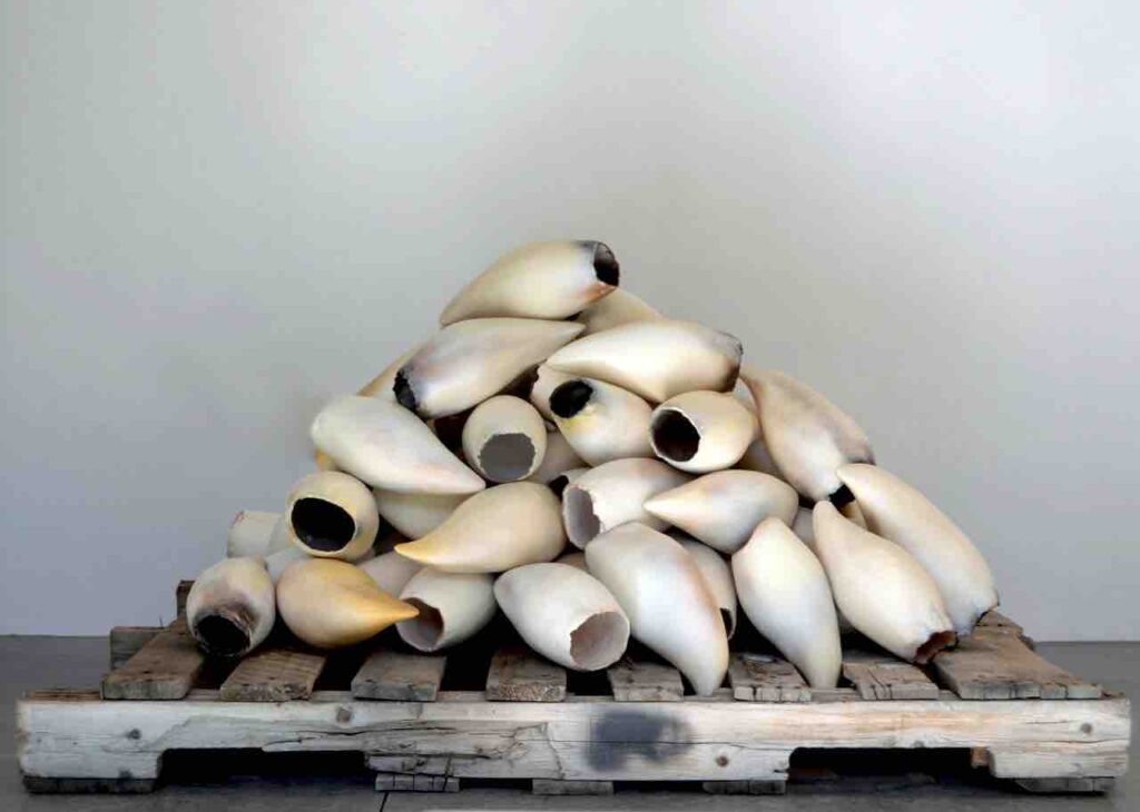 scrimshaw: Courtney Leonard, BREACH #2 (part of a limited series, started in 2015, marking the death of one whale), Ceramic sperm whale teeth and wooden pallet, image courtesy of the artist, New Bedford Whaling Museum, New Bedford, MA, USA.
