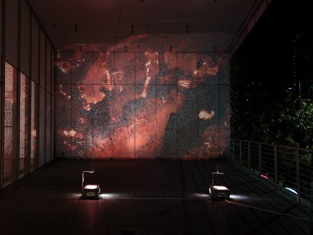 Blood in art: Jordan Eagles, Illuminations, installation, 2023, High Museum of Art, Atlanta, GA, USA, Artnet.
