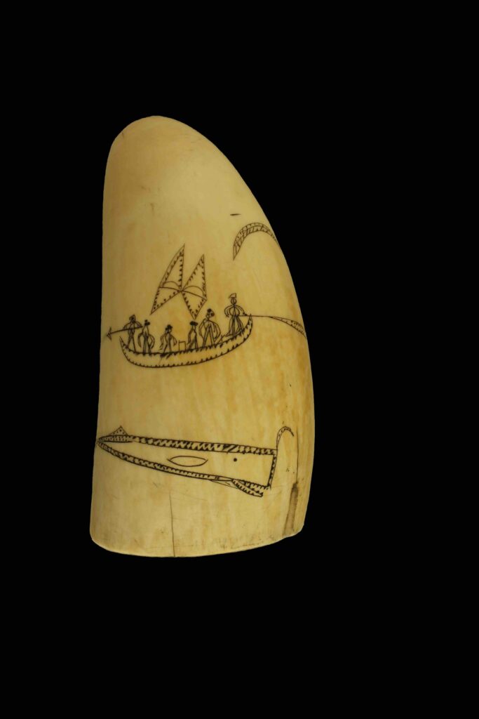 scrimshaw: Australian aboriginal maker once known, Dream tooth, c. 1850, sperm whale tooth, New Bedford Whaling Museum, New Bedford, MA, USA.

