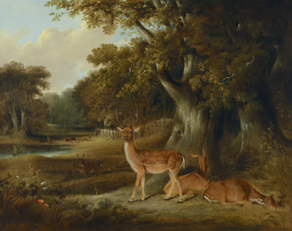 foreign artists in india: Foreign Artists in India: William, Daniell, Deer in a Wooded Landscape, late 18th century, oil on canvas, 23.6 x 29.5 in. AstaGuru.
