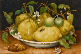 Giovanna Garzoni, Still Life with Bowl of Citrons, 1640, The Getty Center Museum, Los Angeles, United States of America