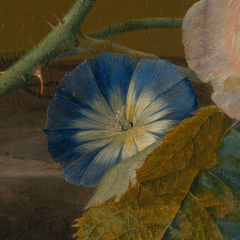 Jan van Huysum: Jan van Huysum, Flower Still Life, ca. 1700, Mauritshuis, The Hague, Netherlands. Detail.
