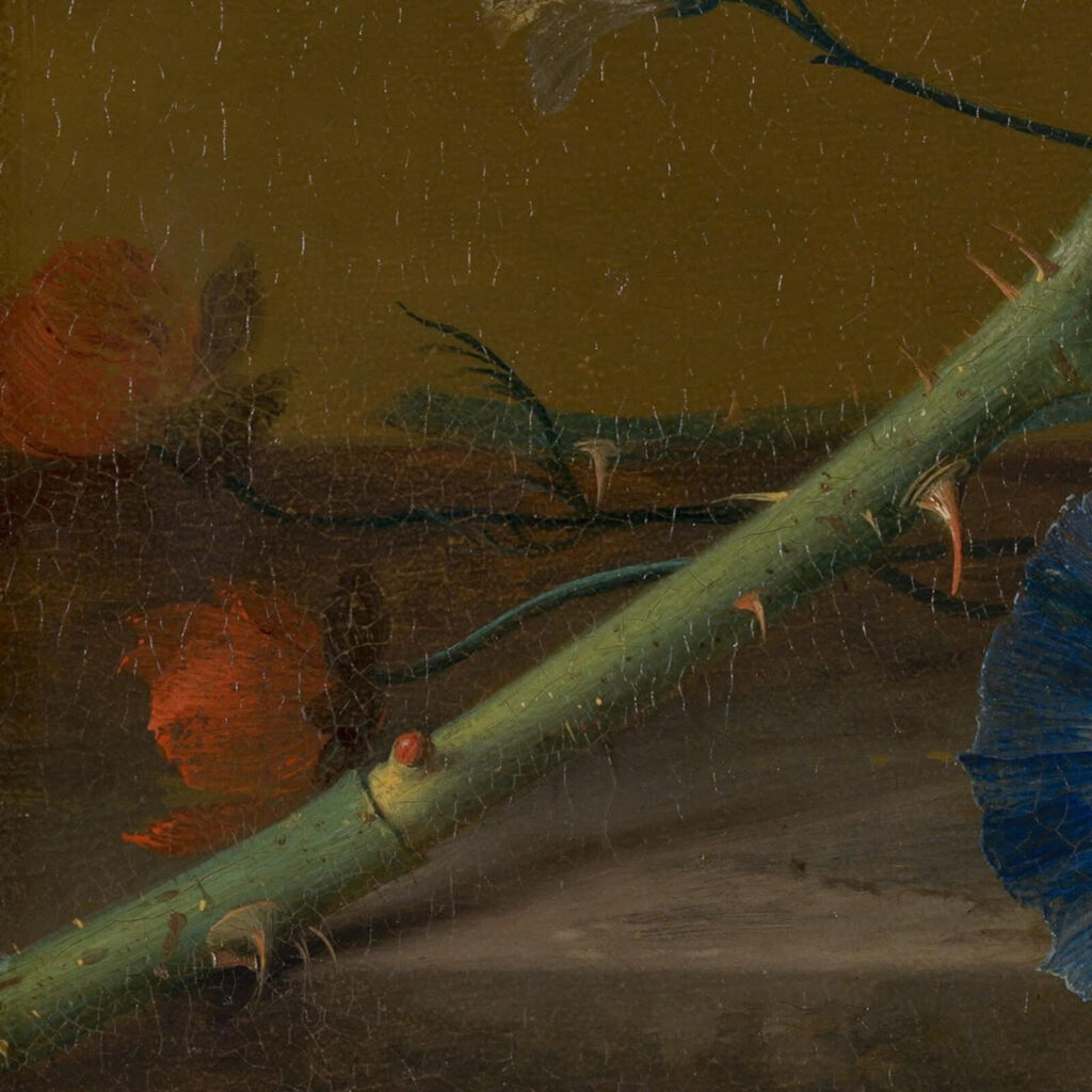 Jan van Huysum: Jan van Huysum, Flower Still Life, ca. 1700, Mauritshuis, The Hague, Netherlands. Detail.
