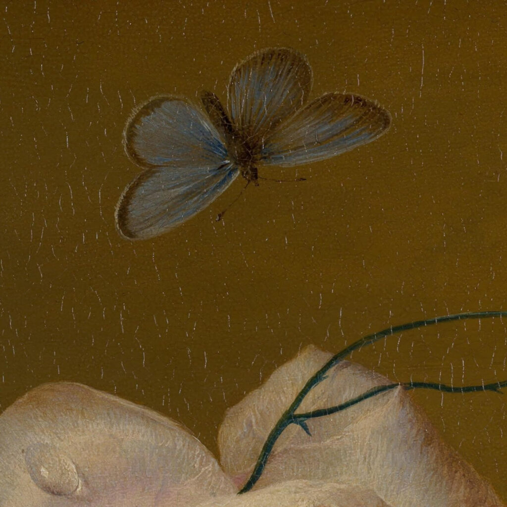 Jan van Huysum: Jan van Huysum, Flower Still Life, ca. 1700, Mauritshuis, The Hague, Netherlands. Detail.
