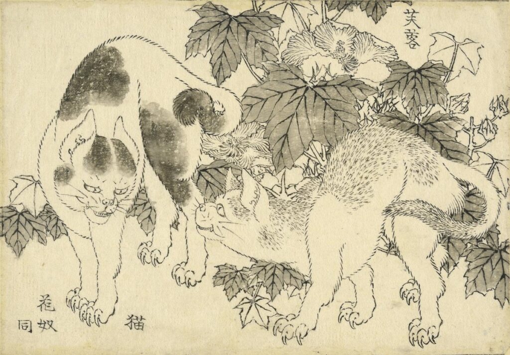 Cats in Japanese Art: Hokusai, Two Cats by Hibiscus, 1815, private collection.
