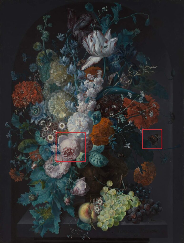 Jan van Huysum: Margareta Haverman, Vase of Flowers, 1716, Metropolitan Museum of Art, New York City, NY, USA. Highlighted details.
