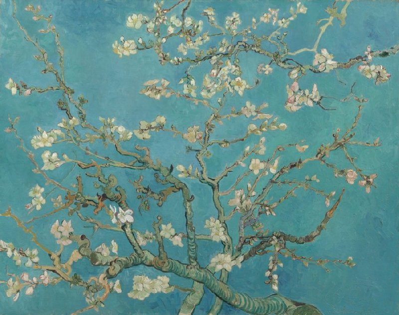 Vincent van Gogh paintings: Vincent van Gogh, Almond Blossom, 1890, Van Gogh Museum, Amsterdam, Netherlands.
