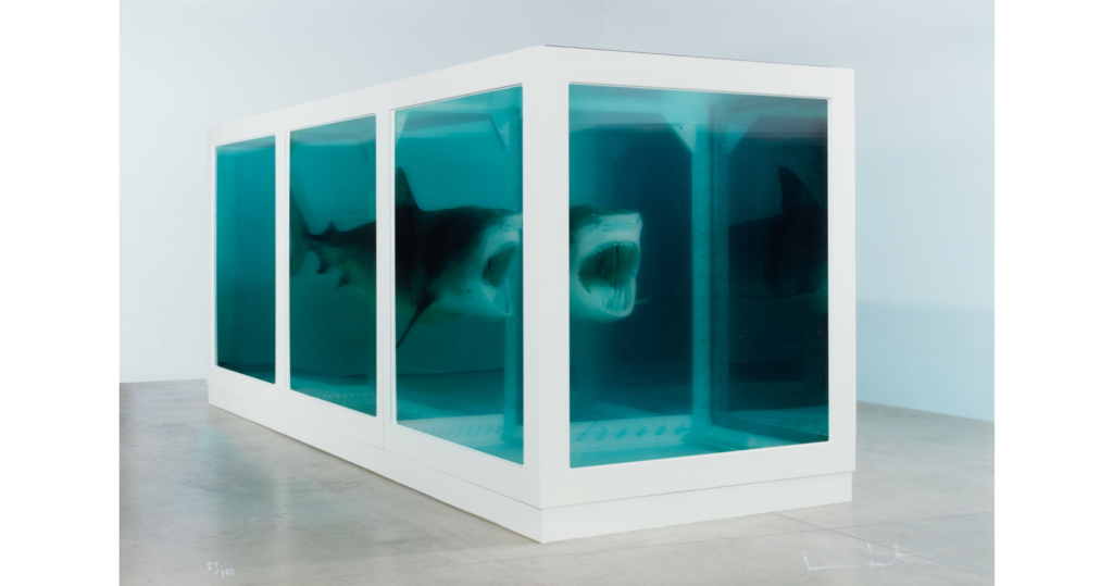 Damien Hirst: Damien Hirst, The Physical Impossibility of Death in the Mind of Someone Living, 1991, conceptual installation, tiger shark, glass, steel, 5% formaldehyde solution. Artsy.
