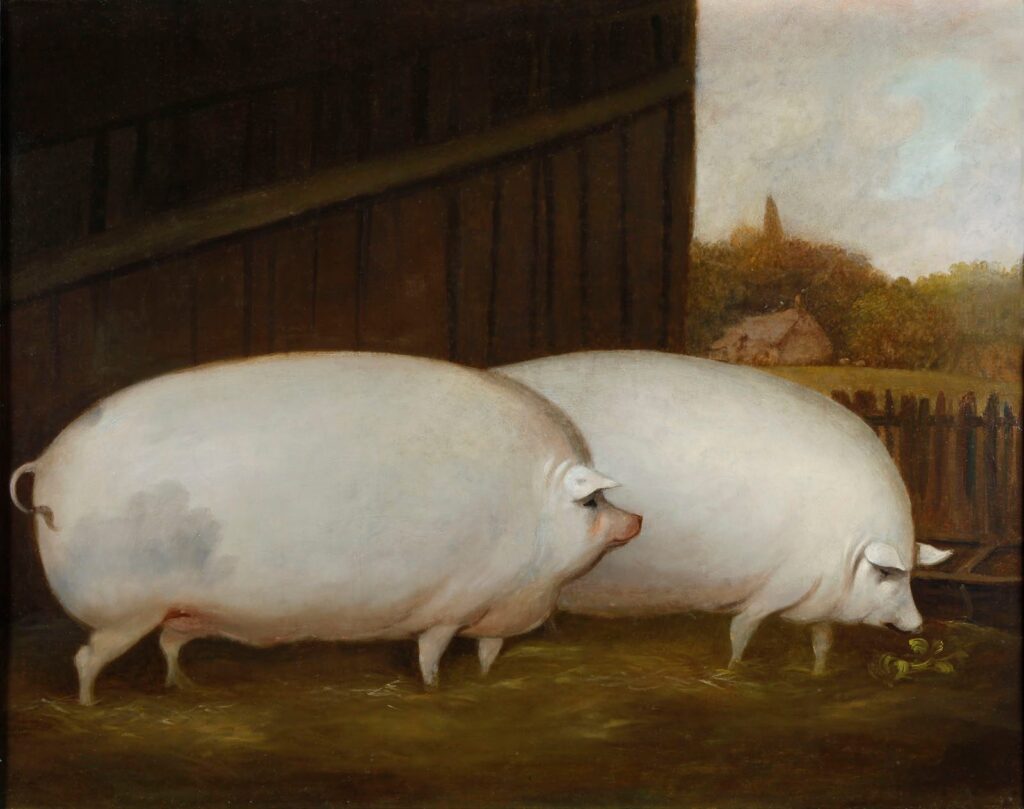 Artworks to improve mood: Artworks to Improve Your Mood: A Pair of Pigs, c. 1850, Compton Verney, Warwickshire, UK.
