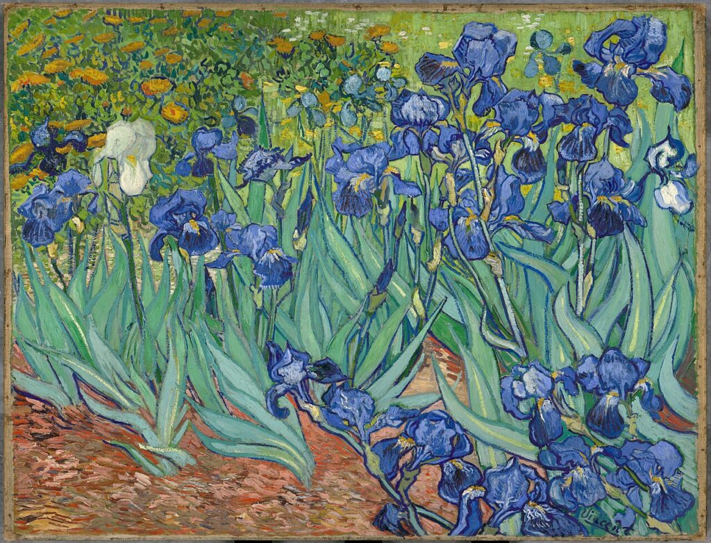 DailyArt Shop: Vincent van Gogh, Irises, 1889, J. Paul Getty Museum, Los Angeles, CA, USA.
