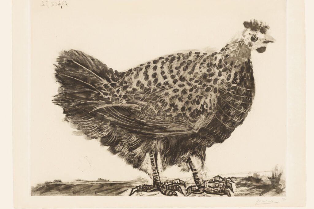 Picasso printmaking: Pablo Picasso, The Hen, 1952, British Museum, London, UK. © Succession Picasso/DACS, London 2024.
