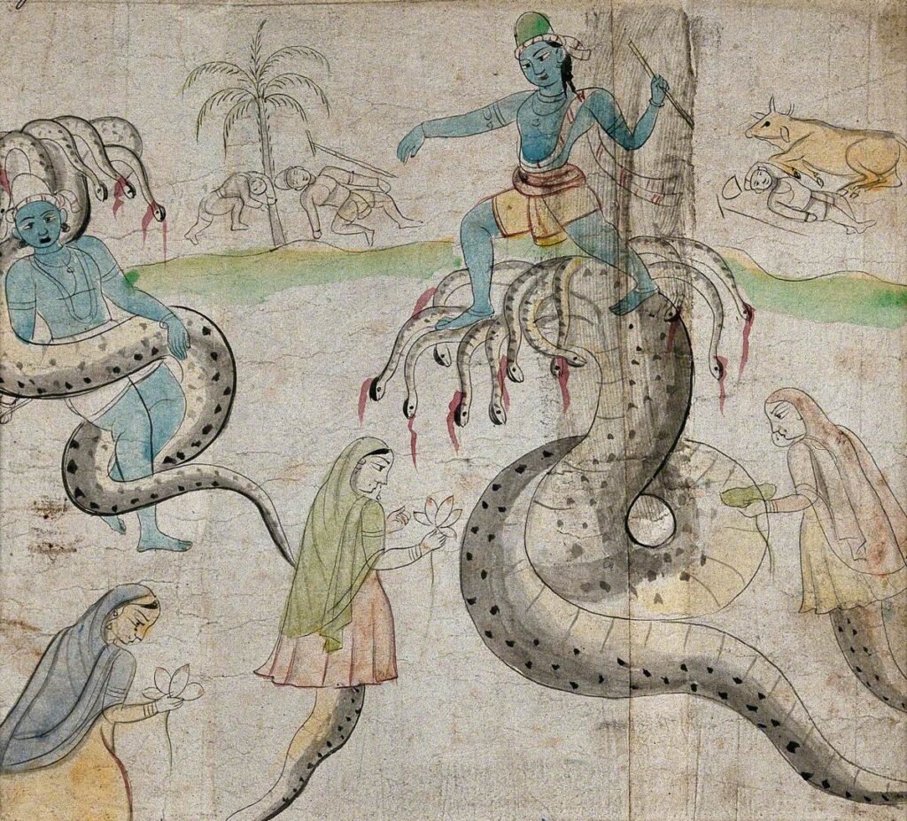 Snake art: Two Indian Deities with Many Headed Snakes, c. 1750, Wellcome Collection, London, UK.
