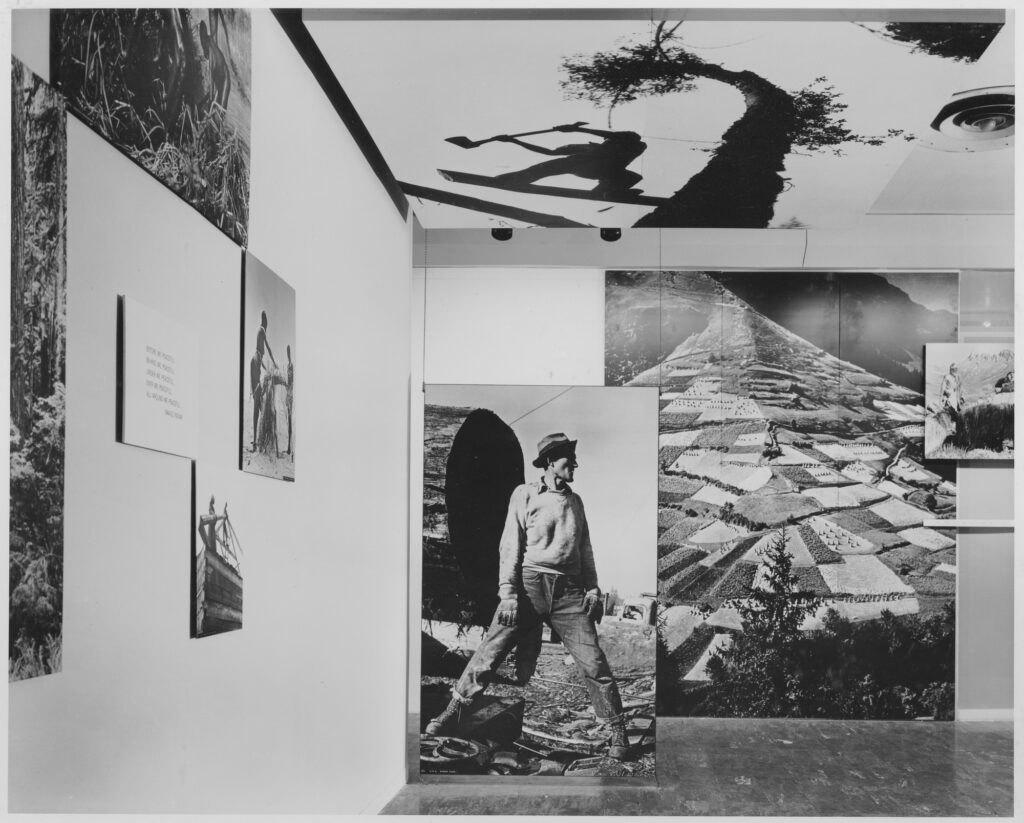 Dorothea Lange Family of Man: Installation view of The Family of Man exhibition, 1955, Museum of Modern Art, New York City, NY, USA. Photograph by Ezra Stoller. Museum’s website.
