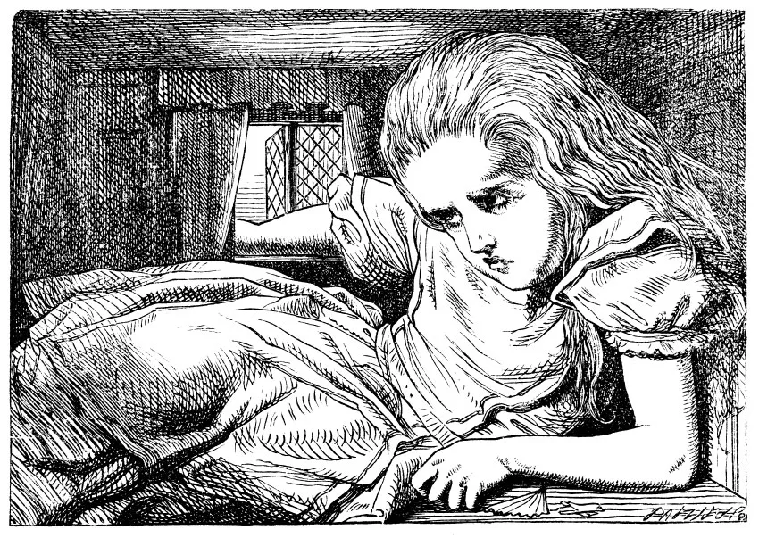 fairytales in art: John Tenniel, Alice Crammed in Rabbit’s House, 1865. Medium.
