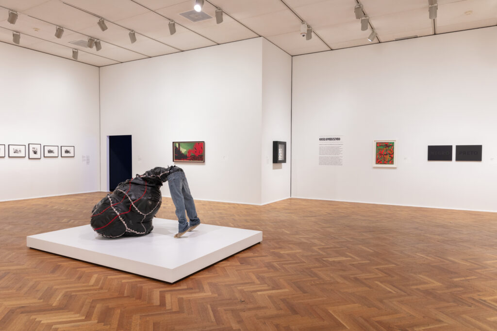 Project Black Planet: Installation view of Project a Black Planet: The Art and Culture of Panafrica, Art Institute of Chicago, Chicago, IL, USA. Press materials.
